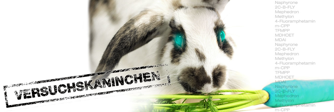Mache Dich nicht zum Versuchskaninchen! grafik des rc-designer drogen versuchskaninchens